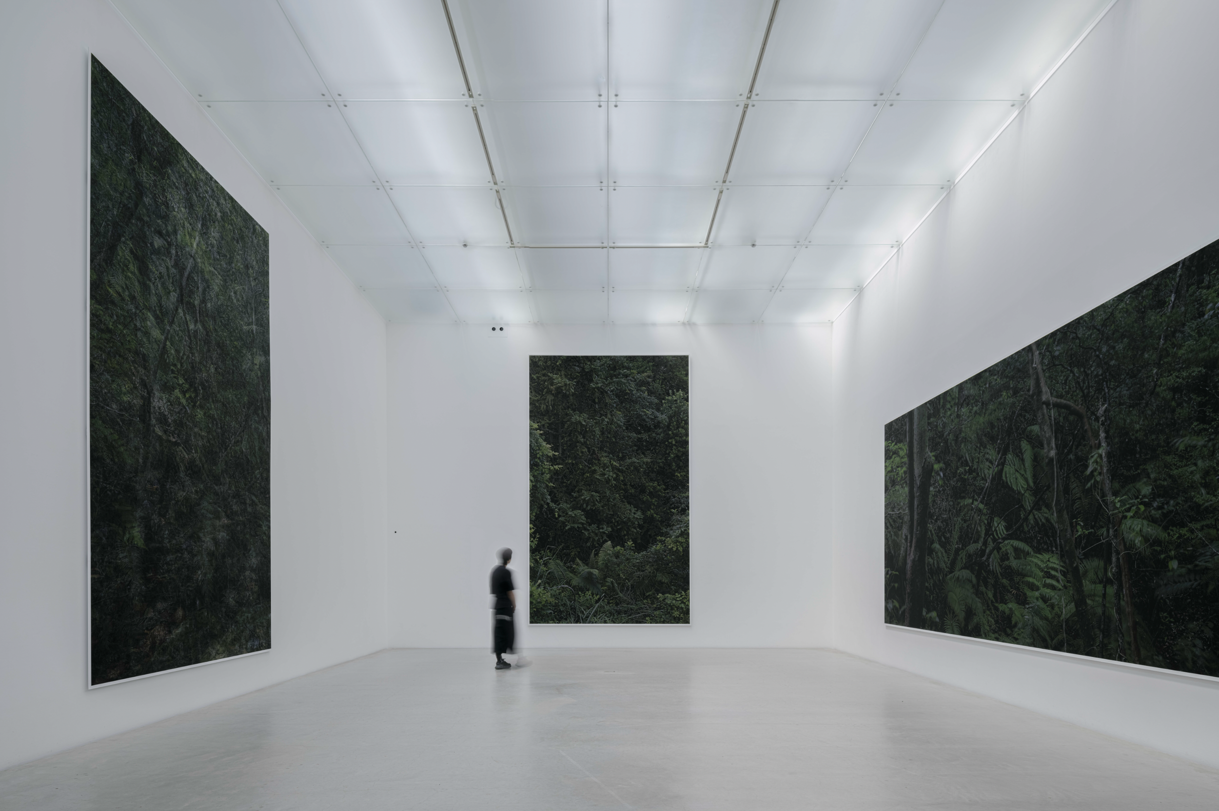 Exhibitions / commission works — Kenryou Gu 顧剣亨